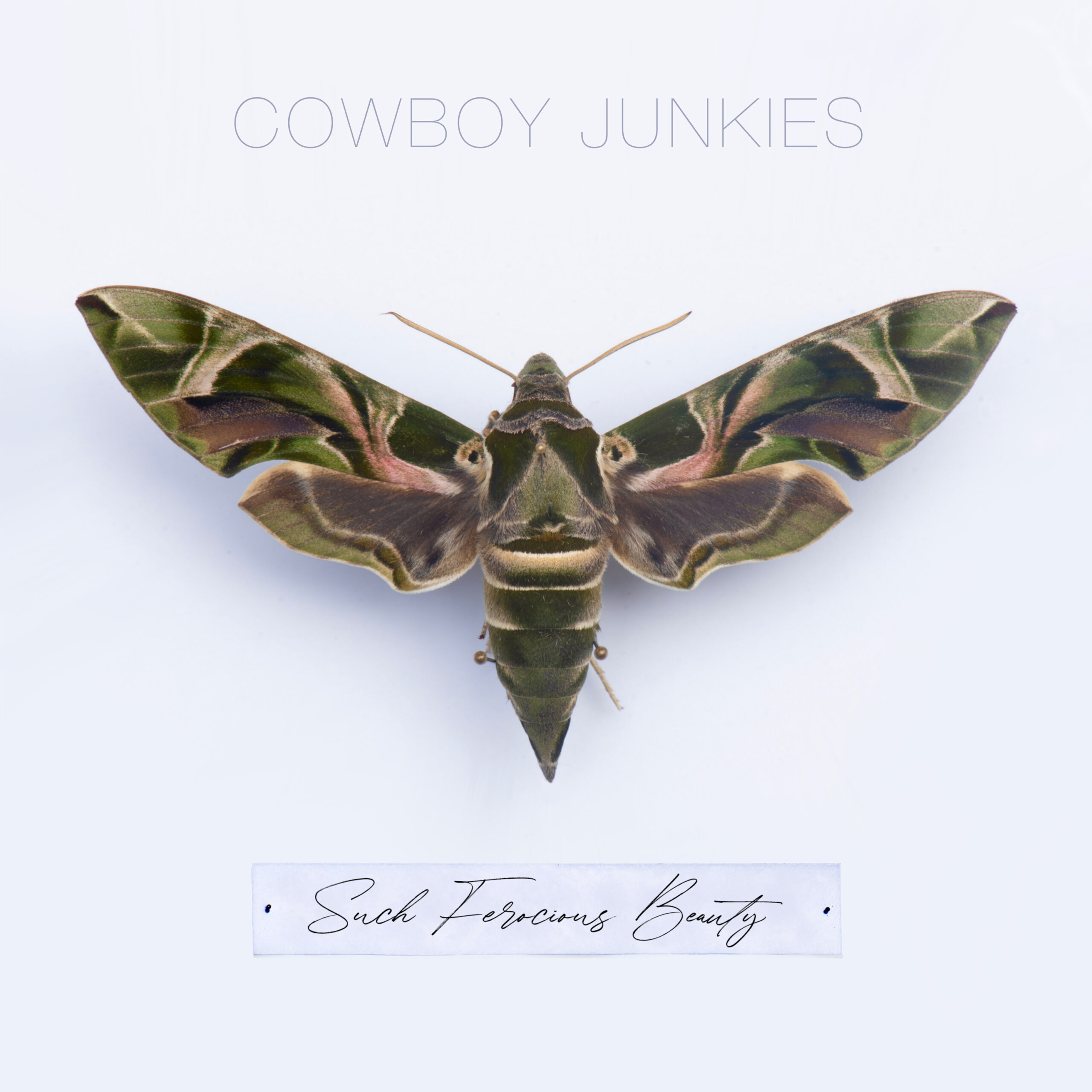 CowboyJunkies-SFB-Cover-3000x3000